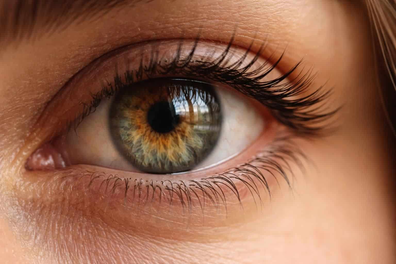 découvrez pourquoi la vision peut fluctuer à différents moments de la journée et les facteurs qui influencent ces variations naturelles de la vue.